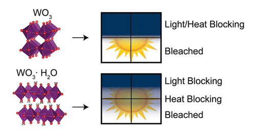 WO3·H2O exhibits dual-band electrochromism, unlike the anhydrous WO3.