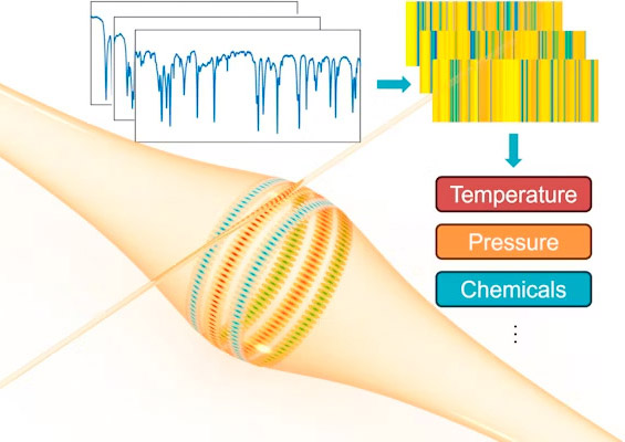 Innovative optical sensing technology utilizes multimode resonance. Innovative optical sensing technology utilizes multimode resonance.