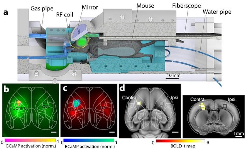 Two become one: hybrid imaging Two become one: hybrid imaging