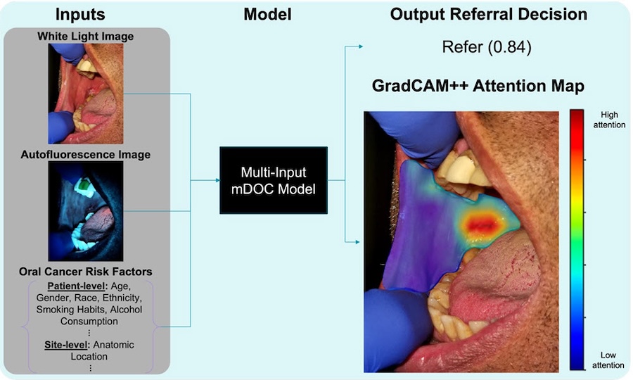 Oral health: effective testing