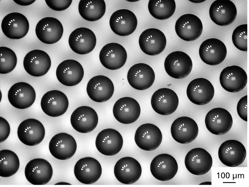 Vision things: surface structure