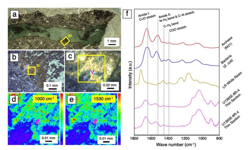 Rock of ages: the hunt for microbes