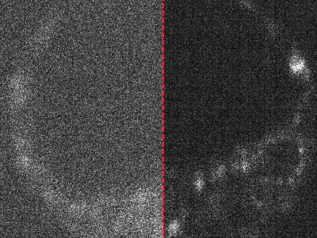 Do little damage: fragile living tissues