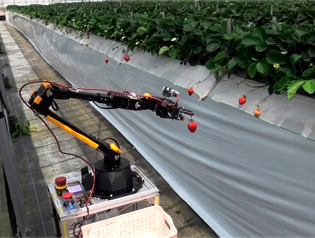 Farm robot using lidar-based control harvesting strawberries.