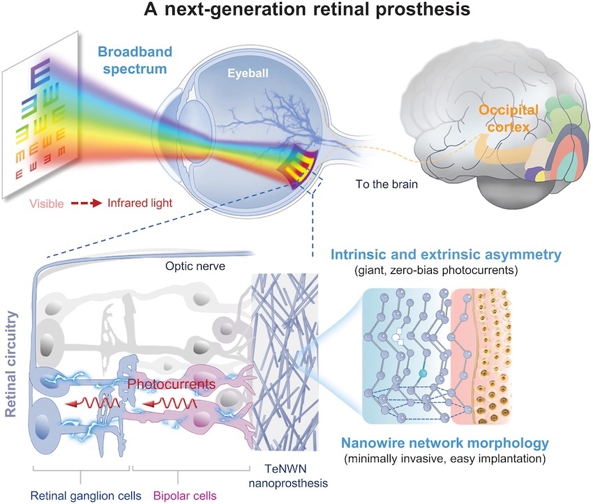 See such a sight: enhanced vision See such a sight: enhanced vision