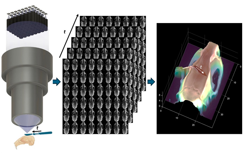 FiLM-Scope simultaneously captures 48 multiperspective images of a surgical scene.