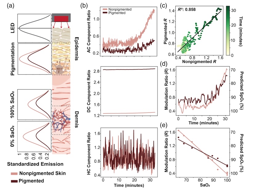 Skin deep: pigment properties Skin deep: pigment properties