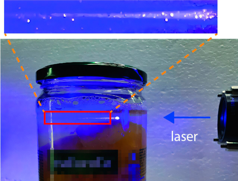 Jam today: information decoding from edible microlasers in peach compote.