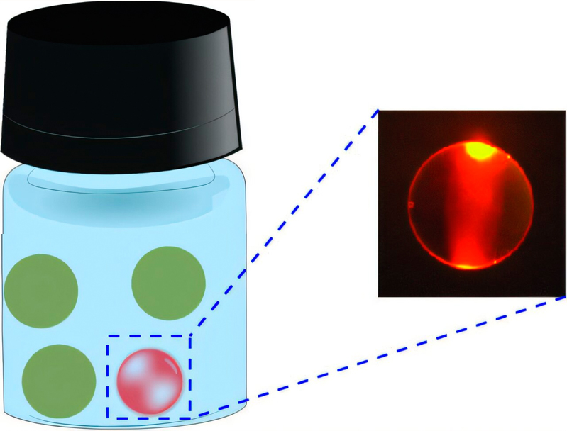 WGM lasing from olive oil droplets in water under blue pulsed laser.