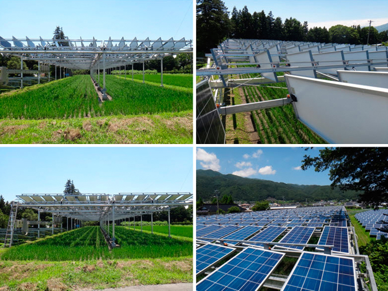 Energy and food: rice paddy fitted with a dual-axis, sun-tracking system. Energy and food: rice paddy fitted with a dual-axis, sun-tracking system.