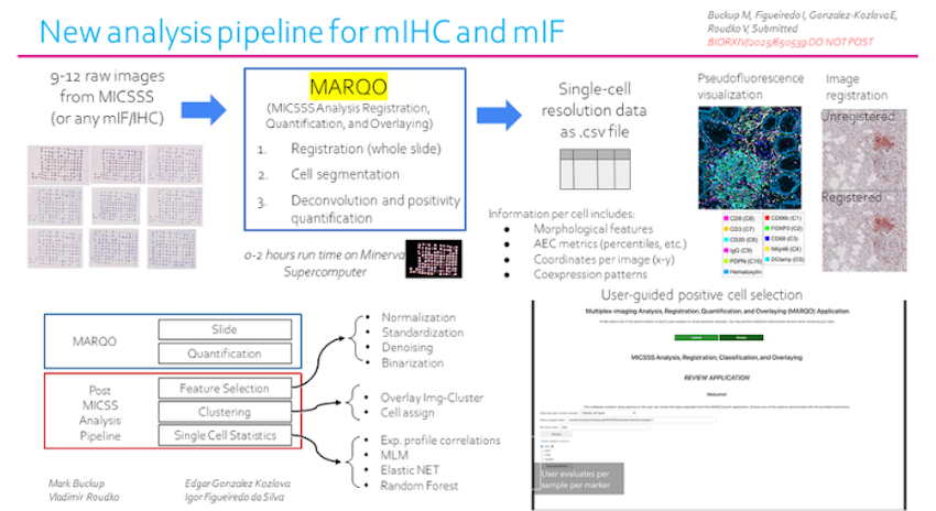 Features identified: MARQO
