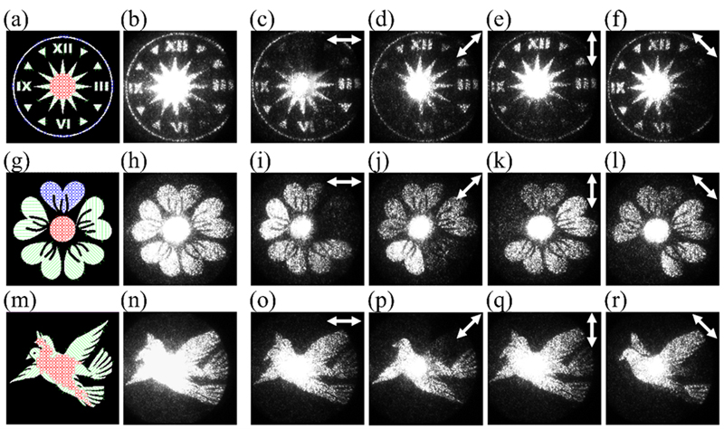 Experimental demonstrations of different vectorial holograms. Click for info.