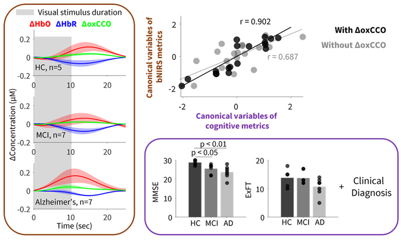 Noninvasive neuromonitoring by broadband near-infrared spectroscopy. Noninvasive neuromonitoring by broadband near-infrared spectroscopy.