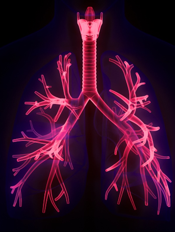 Closer to the target: lung tissues
