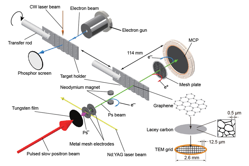 Wave-particle duality in positronium.
