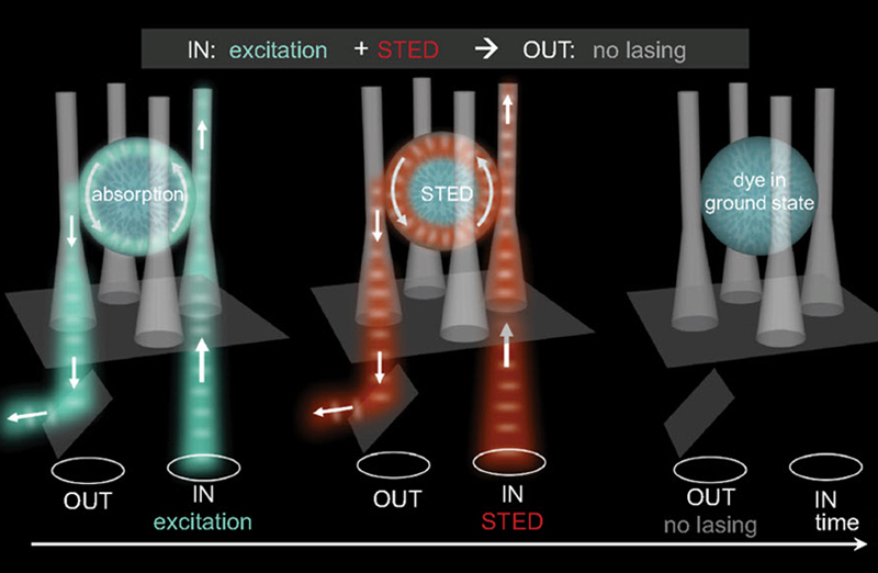 Nanosecond all-optical switching by soft-matter photonic platform. Click for info.