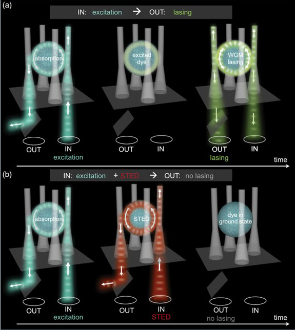 Nanosecond optical switching in a liquid crystal cavity. Click for info. Nanosecond optical switching in a liquid crystal cavity. Click for info.