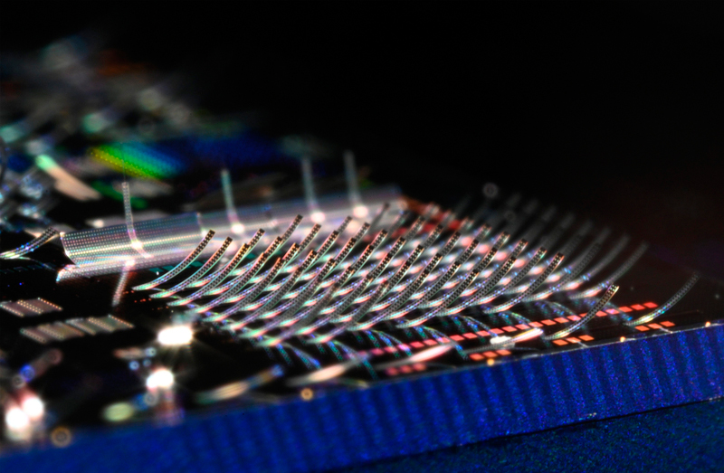 Structures that curl upward like tiny, glowing ski jumps. Structures that curl upward like tiny, glowing ski jumps.