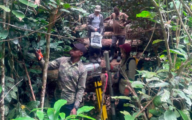 Scanning has been conducted in the Amazon rainforest.