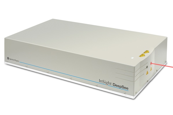 InSight DeepSee: popular