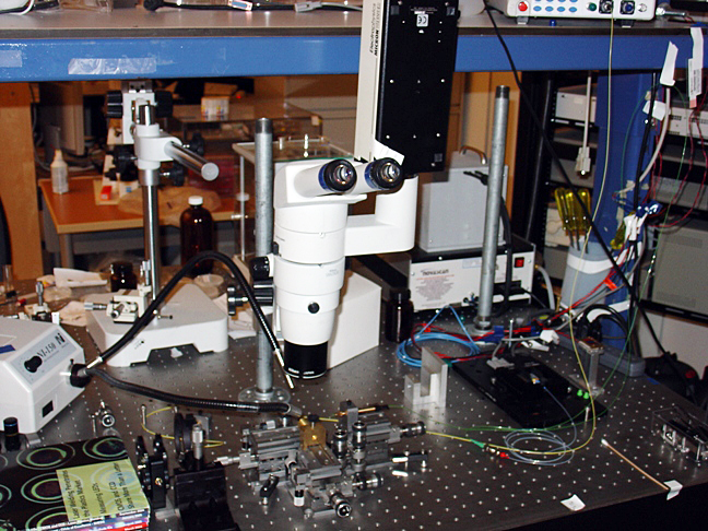 Ottawa’s Berini Group’s research lab houses many modern facilities.