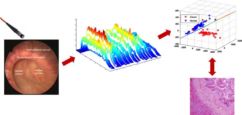 Confocal Raman Spectroscopy Confocal Raman spectoscopy