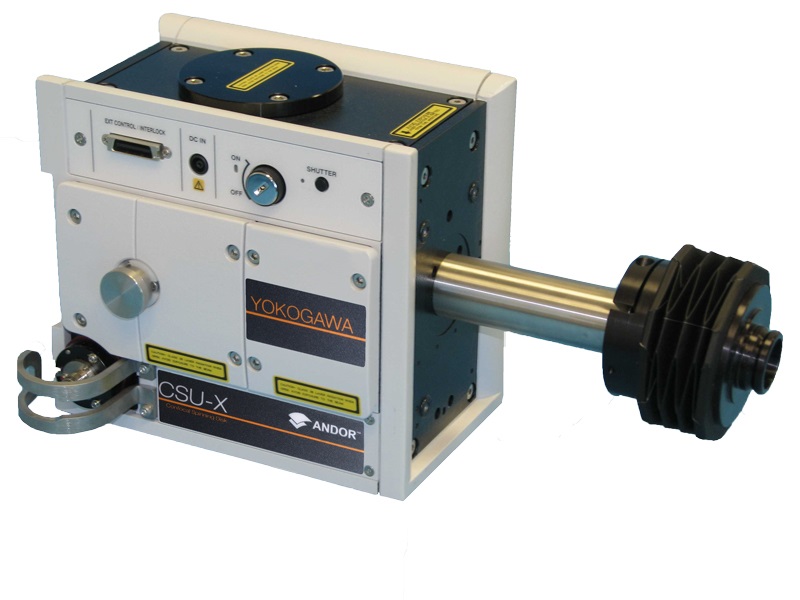 Borealis: raising illumination for microscopy