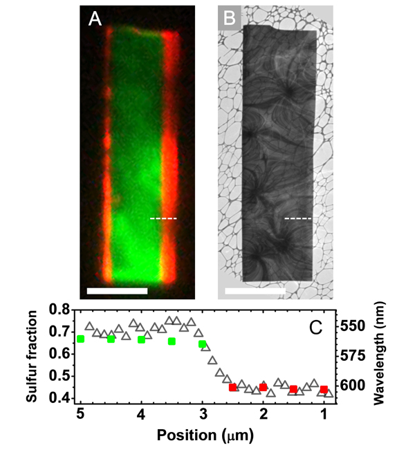 Green on red: Real-color image of a CdSSe lateral heterostructure nanosheet. Green on red: Real-color image of a CdSSe lateral heterostructure nanosheet.