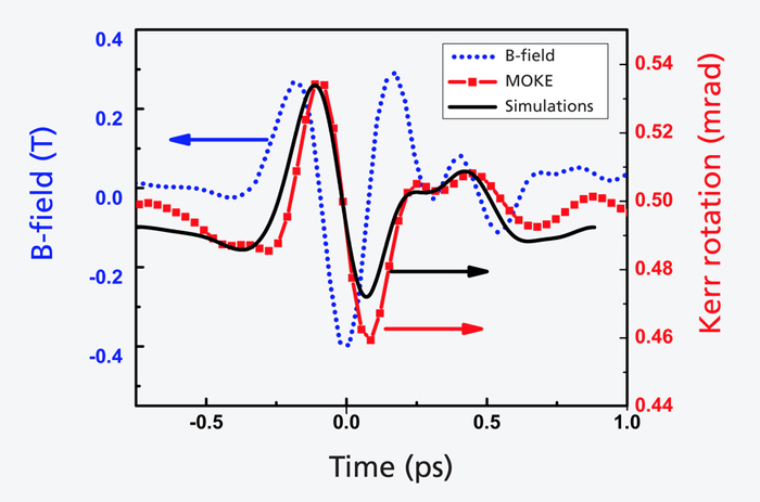 A pulse from a terahertz laser (blue) controls the magnetisation of a material (red).