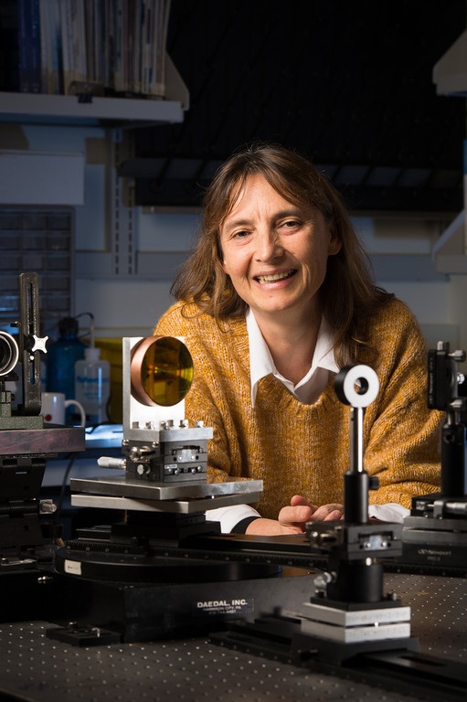 Jannick Rolland, director of the CeFO