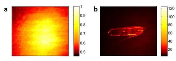 Through a diffuser brightly: object's true shape revealed