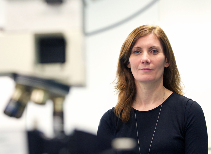 Faulds and her team have developed a new photonics-based test for meningitis. 