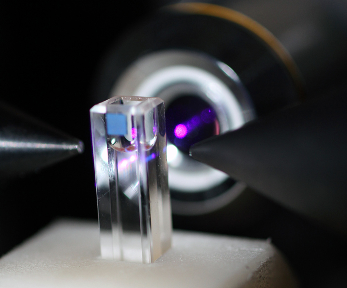 Concentration of tumor markers in a sample can easily be observed.