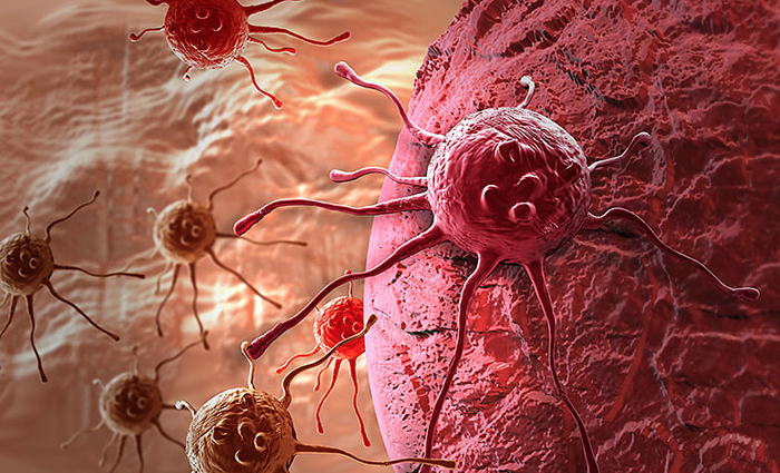 Measurement of heterogeneity of different tumor cells.