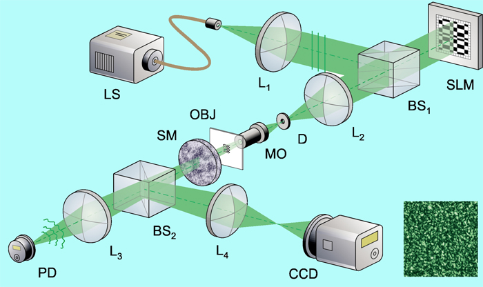 Disorder-assisted compressive microscopy.
