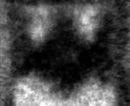 Pow! The magnetic structure, approx. 5 micron across.