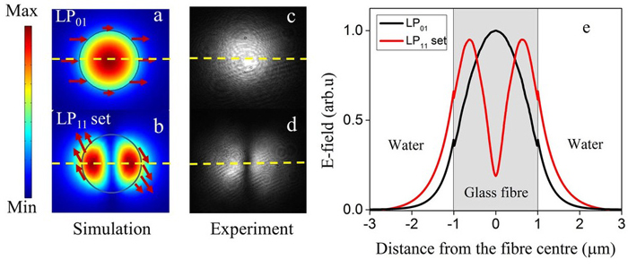 Shifting: shapes of light in the fundamental mode (above) and higher order mode (below).