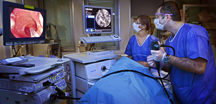 Stronger focus on the treatment of biliary and pancreatic pathologies.