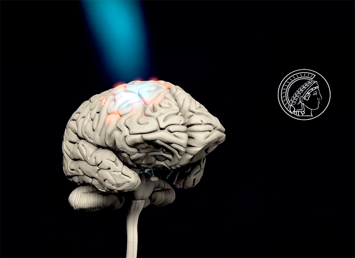 PB’s goal is to render the retina’s healthy neural cells light sensitive.