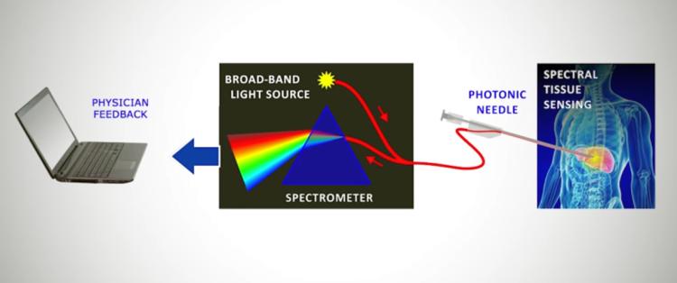 InSPECT: assisting image-guided surgery