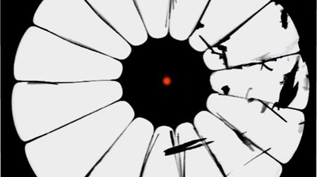 High-numerical-aperture photonic crystal fiber allows lensless focusing in a tiny endoscope.