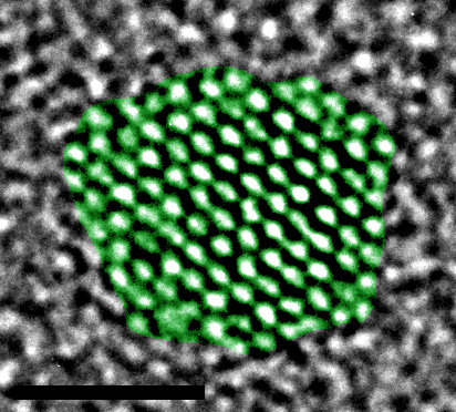 Quantum dots: new weapon in the superbugs arms race