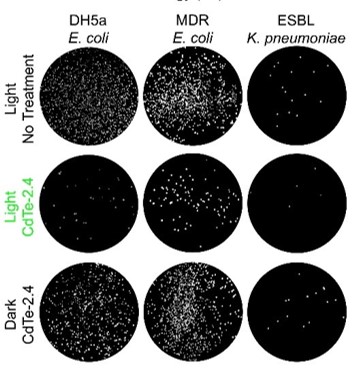 Small but deadly: quantum dots do what antibacterial agents cannot