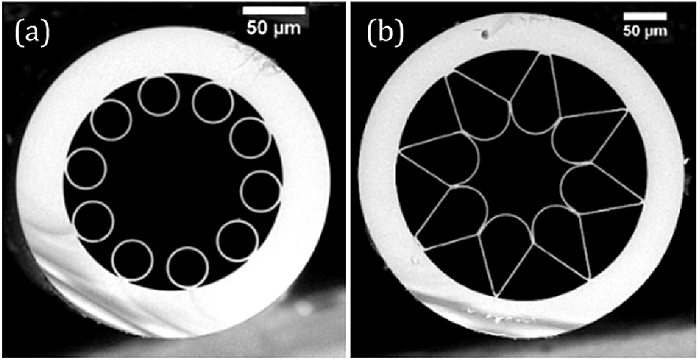 Two different forms of hollow fiber used in mid-IR laser experiments.