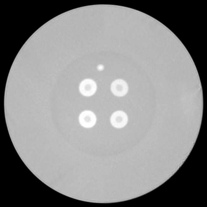 Cross-section of the newly-developed coupled multi-core fiber. 