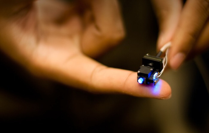 Inscopix nVista: brain imaging in live animals