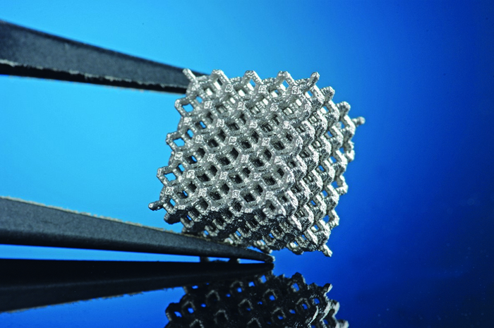 Implant (scaffold) with defined pore structure made from biodegradable magnesium alloy.