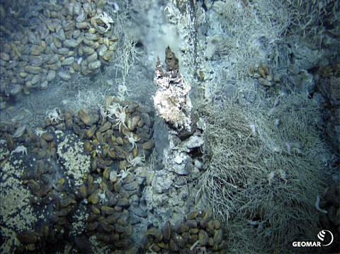 Objective: large deposits of sulphides on the seabed. 