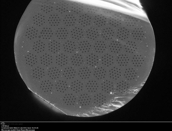 The tiny endoscope incorporates specially-designed optical fibers.