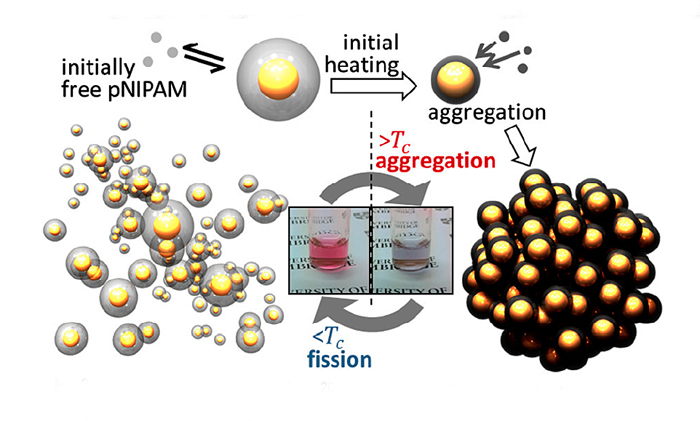 Like real ants, the nano-devices produce large forces relative to their weight.